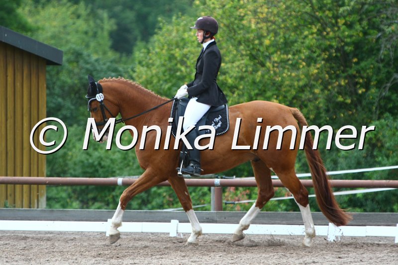 109M2720_Royal Red Angel_Dressur_A.JPG